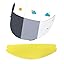 Anti-Fog Film + Photochromic Visor Anti-Fog Film + Photochromic Visor