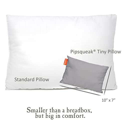 Urban Infant 1430 Pipsqueak Small Pillow thumb #1