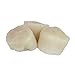 Sea Best 20/30 Jumbo Scallops, 16 Ounce