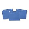 Charles Leonard Multi-Purpose Cloth Eraser, Cleaning Cloth for Whiteboards, Glass and Electronic Screens, 7 x 7.75 Inches, Blue, 10-Pack (74570)