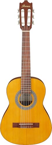 Ibanez Acoustic guitar / GA1OAM Standard