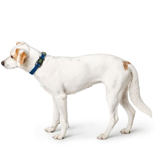 HUNTER Hundehalsung HILO VARIO BASIC, Farbe: anthrazit, innovatives 3D-Mesh-Material, atmungsaktiv, leichter Kühleffekt bei Wärme, reflektierend, stufenlos verstellbar, angenehm leicht, Größe: S-M