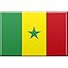 Magnes na lodówkę - flaga krajów Senegal - rozm. ok. 8x5,5 cm - 37817 - magnes