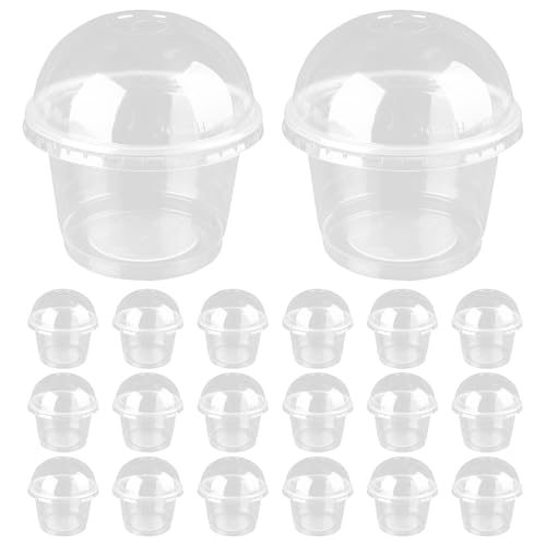 VERDANVERSE 20 ĝēfU[gJbv Wt[X[[T_Jbv vX`bN P[LXibNۑ