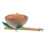 JOINPAYA Kokosnussschalen Vogelnest Mit Holzsitzstange Hängendes Vogelheim Für Kleine Vögel Wie Sittiche Nymphensittiche Und Lovebirds Robust Installieren Und Pflegeleicht