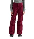 THE NORTH FACE Mädchen Freedom Insulated Hose, Burgundy Crush, 12 Jahre