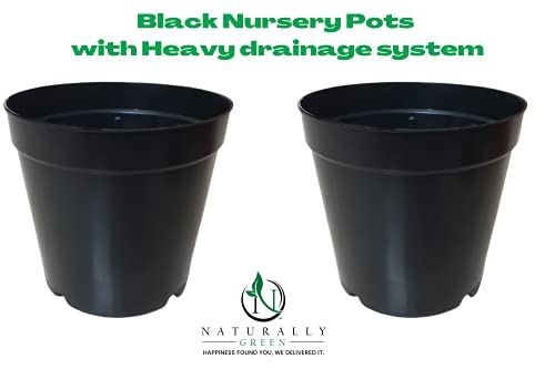 Image of Naturally Green Unique Drainage System Nursery Pots with Multi Holes for Balcony Terrace Plants Pack of (4 inch, 20)