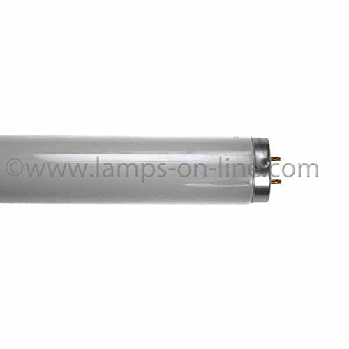 Tubo fluorescente F40W 35-535, di 1,22 m, 40 W, di...