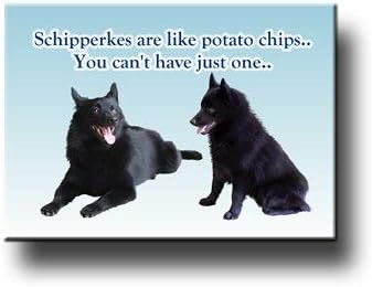 Schipperke Can't Have Just One Fridge Magnet