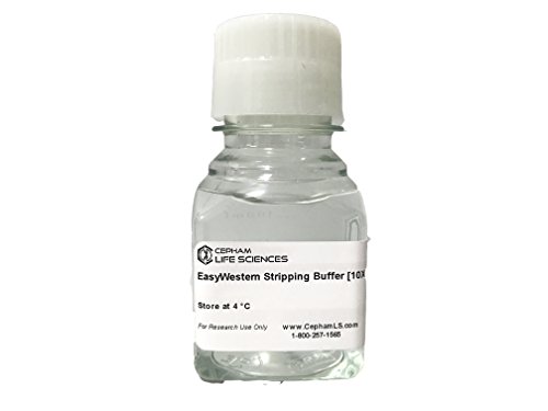 EasyWestern Stripping Buffer - 125 ml -from Cepham Life Sciences