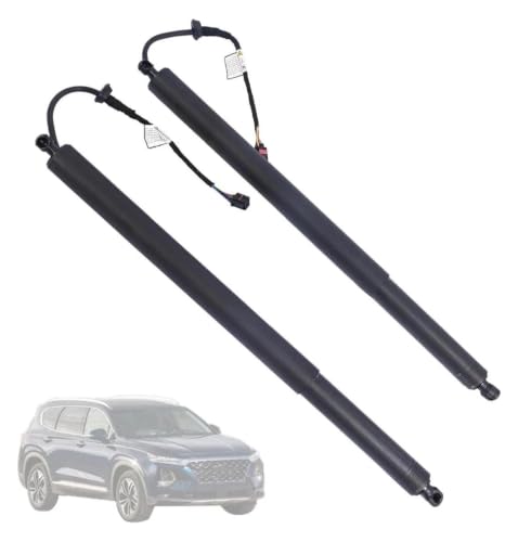 Verin pour hayon electrique de qualité supérieure Hyundai Santa Fe 19-20 code 81841S1100