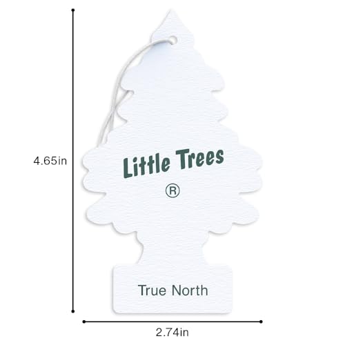 Image of Little Trees Air Fresheners, True North (Pack of 24)
