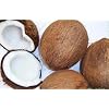 Fresh Coconuts (Set Of 3)