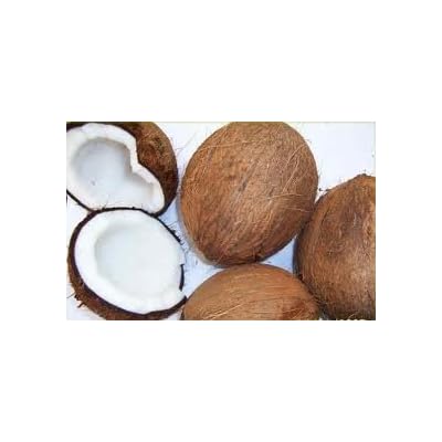 Fresh Coconuts (Set Of 3)
