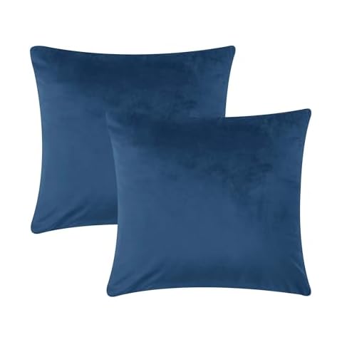 AMEHA Housses de Coussin Velours 45x45 Cover