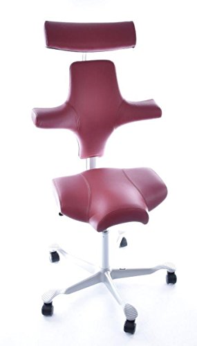 Preisvergleich Produktbild HAG Capisco Modell 8107 Leder Rot Bürostuhl Sattelsitz
