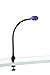 Produktbild Massive Kenny Wall LAMP LED Purple 1x2.5
