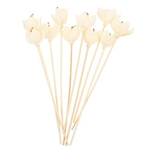 Cabilock 10Pcs Essential Oil Diffuser Sticks Floral Aroma Diffuser Reeds for Spa and Natural Decor for Home Fragrance Compatible with Various Diffuser Bottles