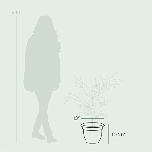 Fiskars 12 Inch Ariana Planter With Self-Watering Grid, Thyme Green (20-56412) #TOP4