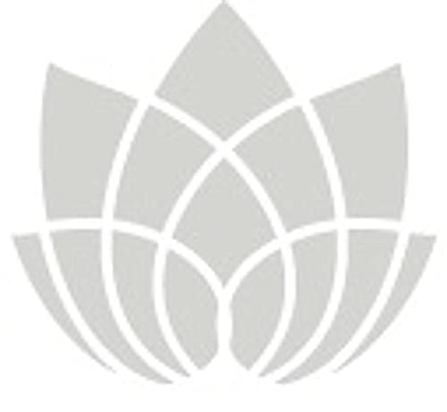 Couverture de Open Heart Meditations