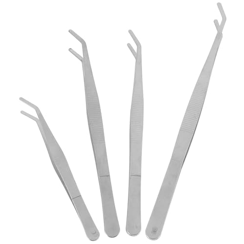 SUPVOX Pinzas Largas De Jardinería De Acero Inoxidable Para Suculentas Y Bonsáis Herramientas Manuales De Precisión Para Trasplante Y Modelado En Jardín Y Huerto