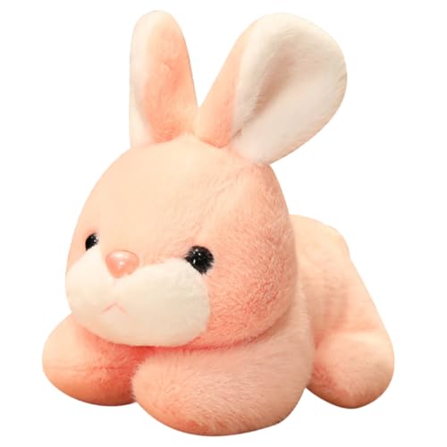 VANZACK �ʂ�����݃E�T�M 20cm ���炵���E�T�M�h�[�� �Ԃ����V�ё��� �\�t�@������ �������� �a�����v���[���g