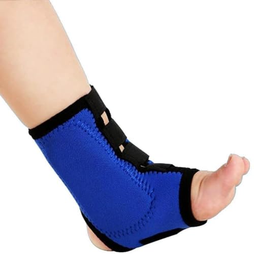 Barino LbYtbghbvu[XT|[gAqc񑫑pEH[LOhbvtbgu[XiCgXvgEH[LOA񑫑T|[gA2 (2XS)