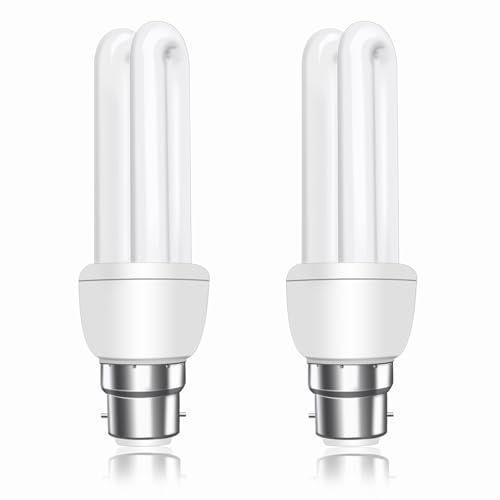 Compact Fluorescent Bulbs