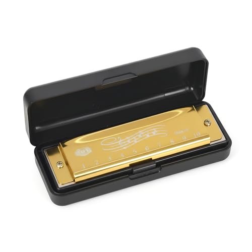 Mundharmonika 10 Loch C-Dur Blues Mundharmonika, Diatonische Harmonika mit Etui, Mundharmonika für Anfänger, Blues Harpes Mundharmonika, Hervorragender Klang für Profis, Anfänger (Gold)