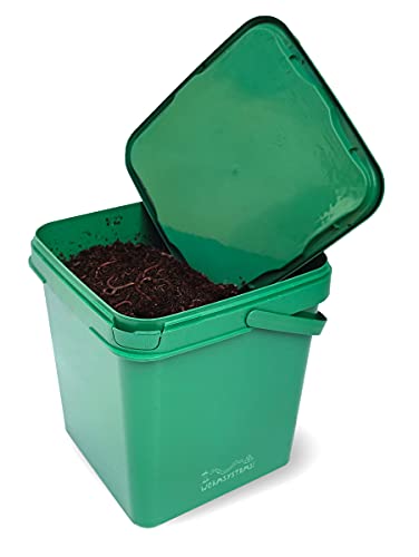 wormsystems 500 lombrices Rojas californianas en 4 litros de Humus de Lombriz - lombrices para Compost aceleran Cada compostador