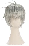 TO KU TOO YUO Game Cosplay Wig Mephisto Cosplay Wig Short Straight Wigs Silver Hair Wig Layered Wig with Bangs Cosplay Costume Wigs Heat Resistant Synthetic Hair Wigs (Mephisto)