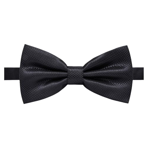 [SHYYOULQE] JbWX^ClN^C߉\ȒlN^CmxeB傤уlN^CW܂ɓKGKgȃYANZT[