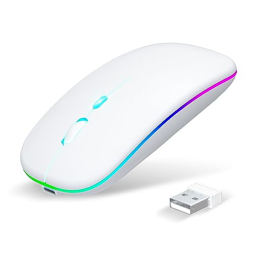マウス 無線 Bluetooth 5.2 【Type-C充電式 ＆ 静音】 ワイヤレスマウス 薄型 小型 パソコン 瞬時接続 省エネ 高感度 ブルートゥース ゲーミングマウス 2.4GHz 3段階DPI切替 2台デバイス同時接続 7色ライト 500mAhバッテリー 光学式 高耐久性 mac/ノートパソコン/タブレット/ipad 対応(White)