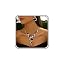 Leopard Print Set