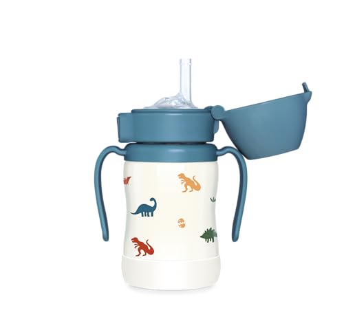 Image of GROSMIMI Insulated 316 Stainless Steel Spill Proof Straw Cup, Water bottle with Flip Top for Toddlers, BPA Free (Dinosaur, 6oz)