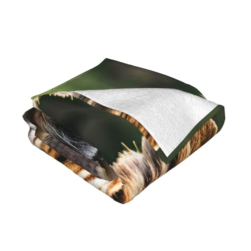 Couverture lavable super douce faune africaine grand lit - 3