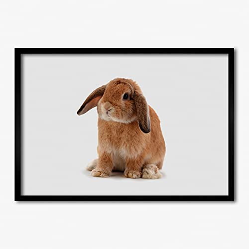 Cadre photo 70x50 cm lapin roux idéal pour décorer la chambre de votre enfant