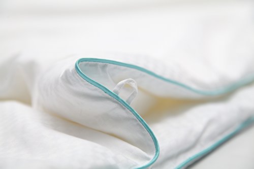 Silk Camel Luxury Comforter Filled With 100% Natural Long Strand Mulberry Silk For Spring Season - Twin Size #TOP4