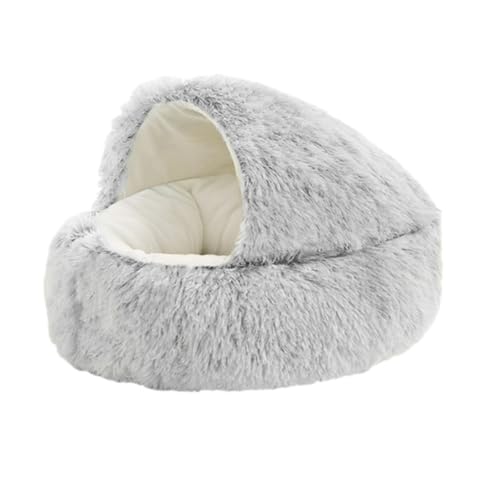 Marwey bV ybg}bg ybg\t@ Eh^ 薰 ӂӂ  g ~ h ΍ 􂦂 Lp ^p ybgpi (VFX^C(zCg+R[q[) vbVX^C,L)