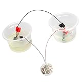 Creative Science Experiment Laborequipment Build Your Own Salzwasser Powered Clock for Children Learning Physics Children 's Science Set