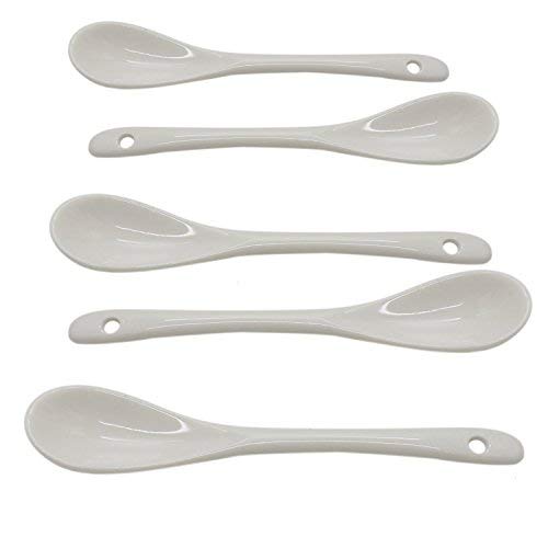Pomeat 20 Pcs Ceramics Coffee Spoons Mini Dessert Spoons Tasting Spoons for Chefs, 4.8 Inch