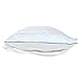 Stretch Jersey Pillow Cases with Invisible Zipper, Universal Size fit All King, Queen and Standard Size Pillows, Modal Rayon Spandex 180 Gram, Soft Than Cotton, Pack of 2, White