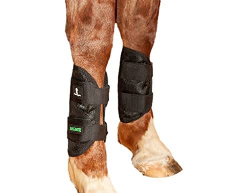 Classic Equine MagNTX Tendon Wrap
