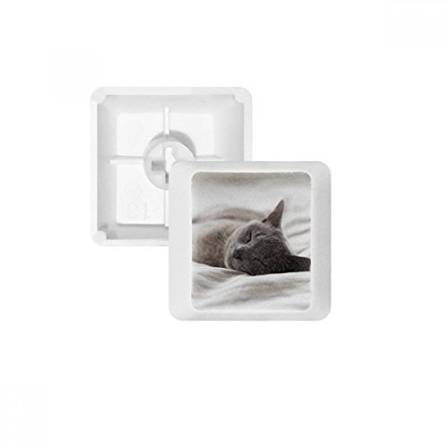 Keycaps PBT chat gris pour clavier mécanique blanc OEM