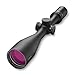 Burris FullField E1 Riflescope 6.5-20x50mm, Matte, 200341