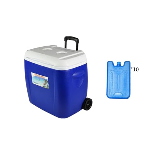Kirnuo LX^[t N[[{bNX 28L/38L ۗۉ{bNX e ԕۗ 24?48 ܑۗΉ L[nht Lv ނ o[xL[ AEghA (38L,u[iX*10j) [sAi]