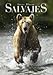 Salvajes: 1 (General) - Bloom, Steve