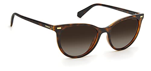 Polaroid Women's PLD 4107/S Cat Eye Sunglasses2