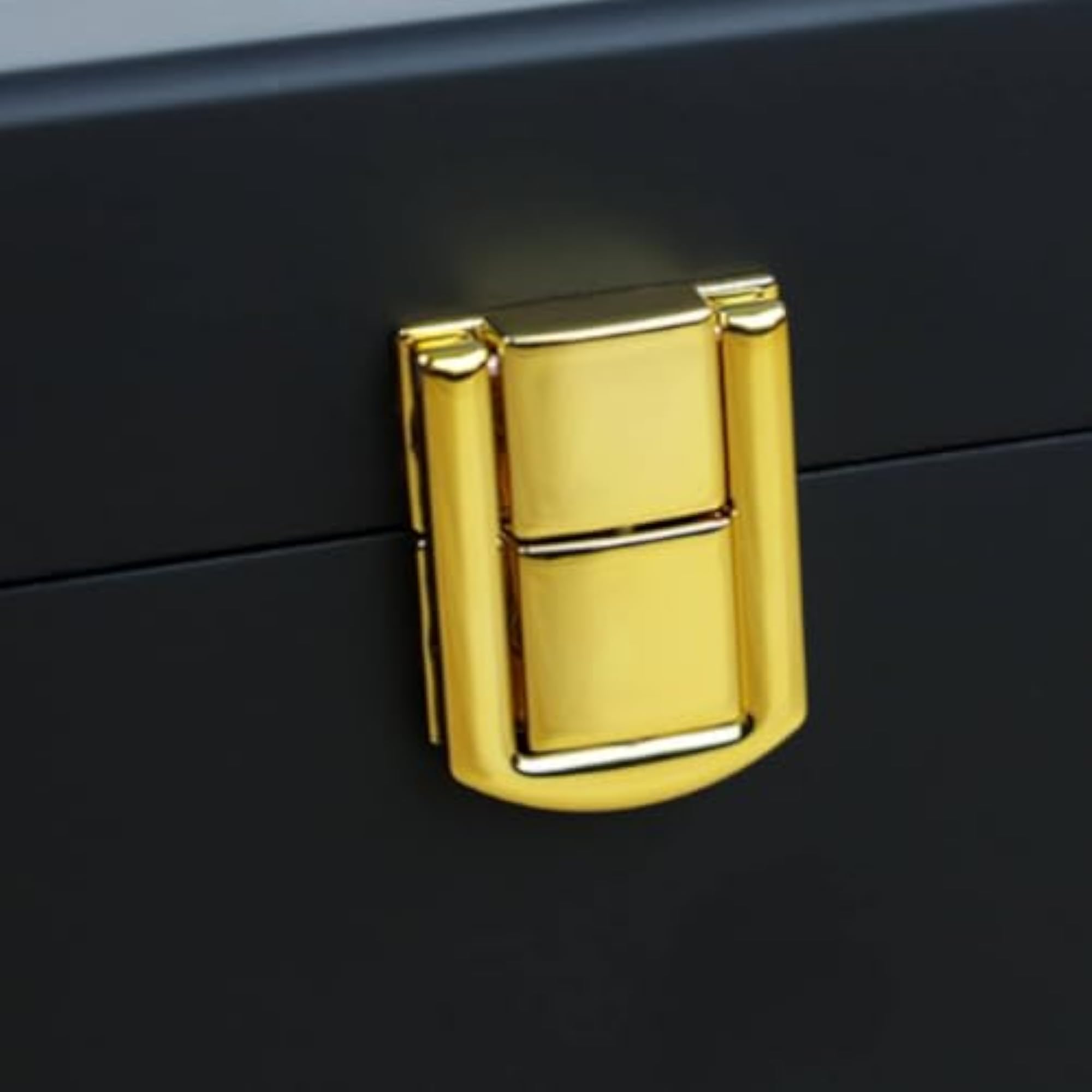 Cushioned Compartments Watch Storage Box with 10 Slots