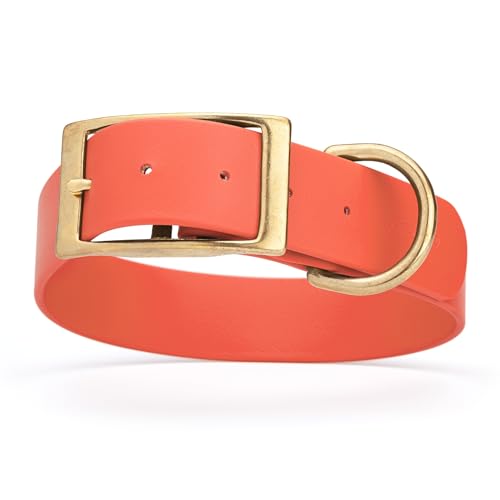 Image of Viper Biothane Heavy Duty Waterproof Dog Collar Strong Coated Nylon Webbing w /Solid Brass Hardware Odor-Proof Easy to Clean High Performance Fits Small Medium or Large Dogs, Coral